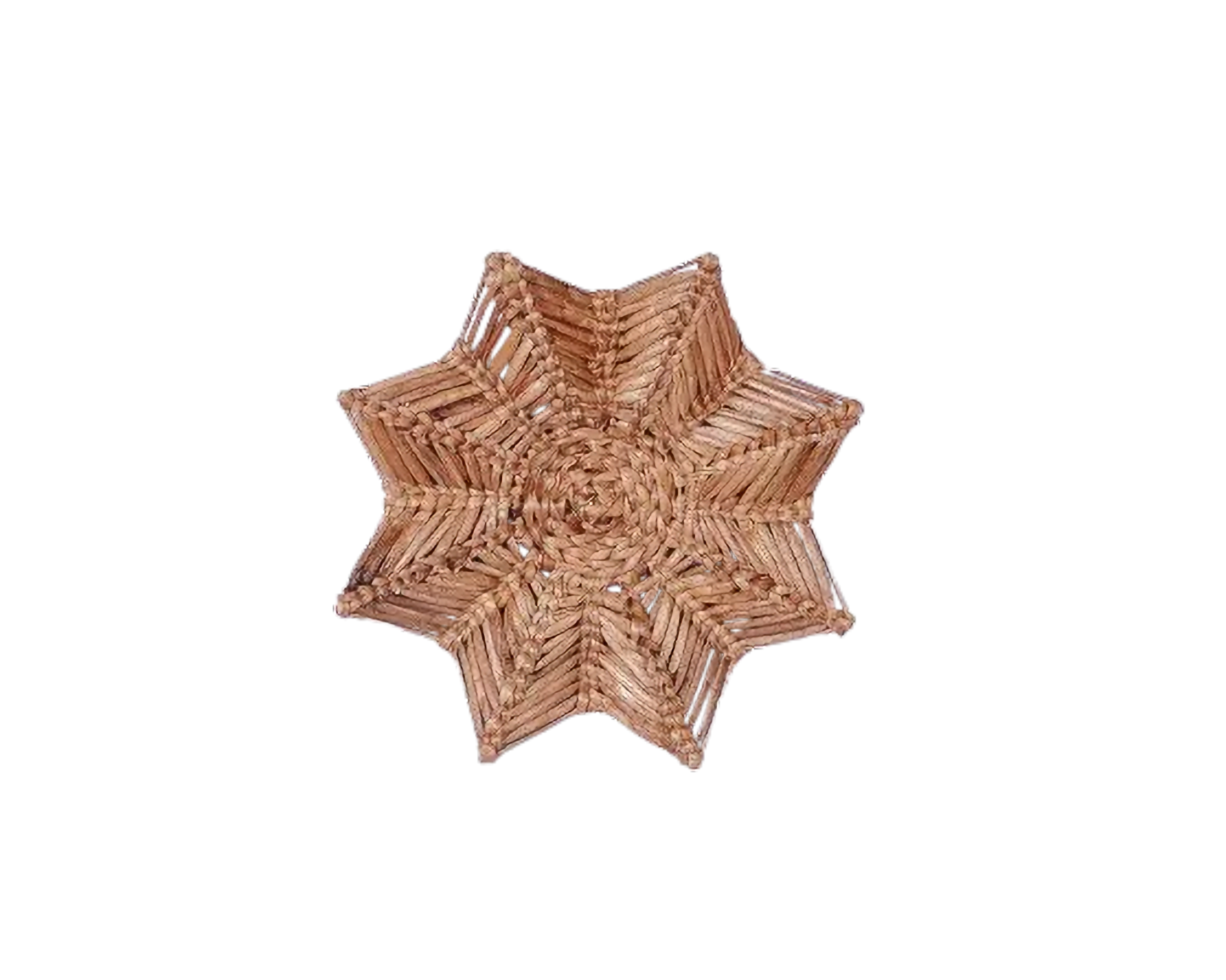 Eco-friendly Wall Decor - Water Hyacinth