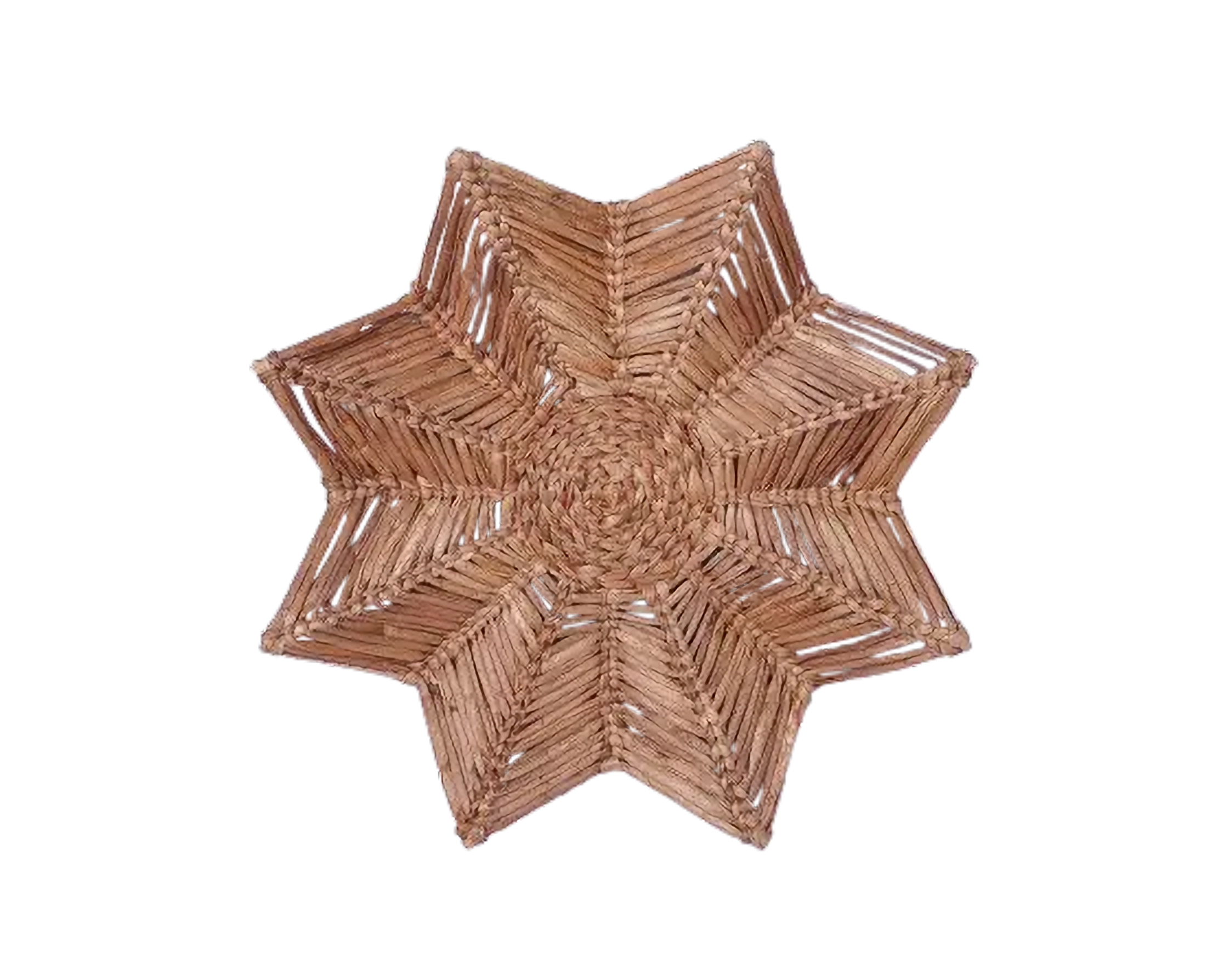 Eco-friendly Wall Decor - Water Hyacinth