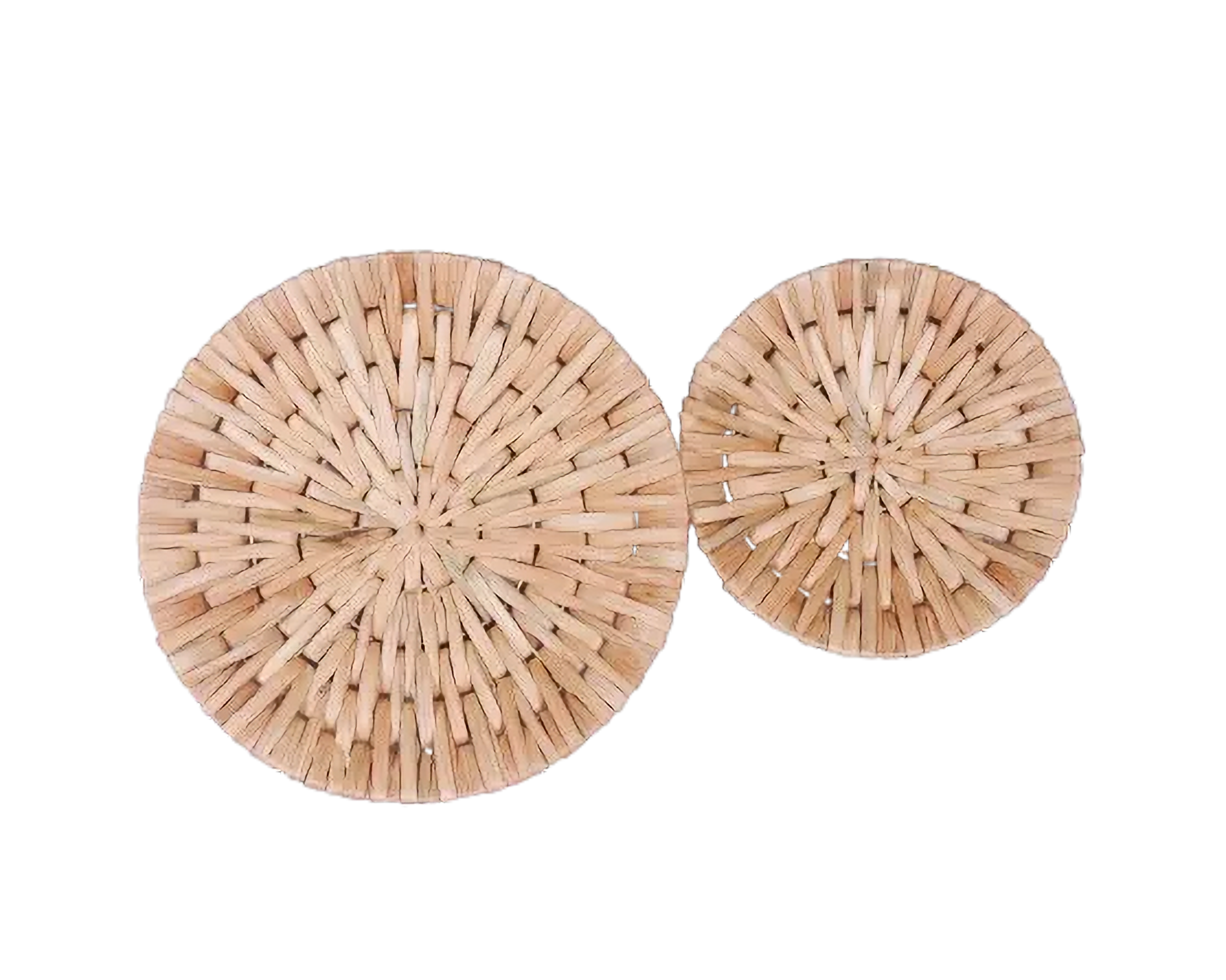 Eco-friendly Wall Decor - Water Hyacinth - Set Of 2