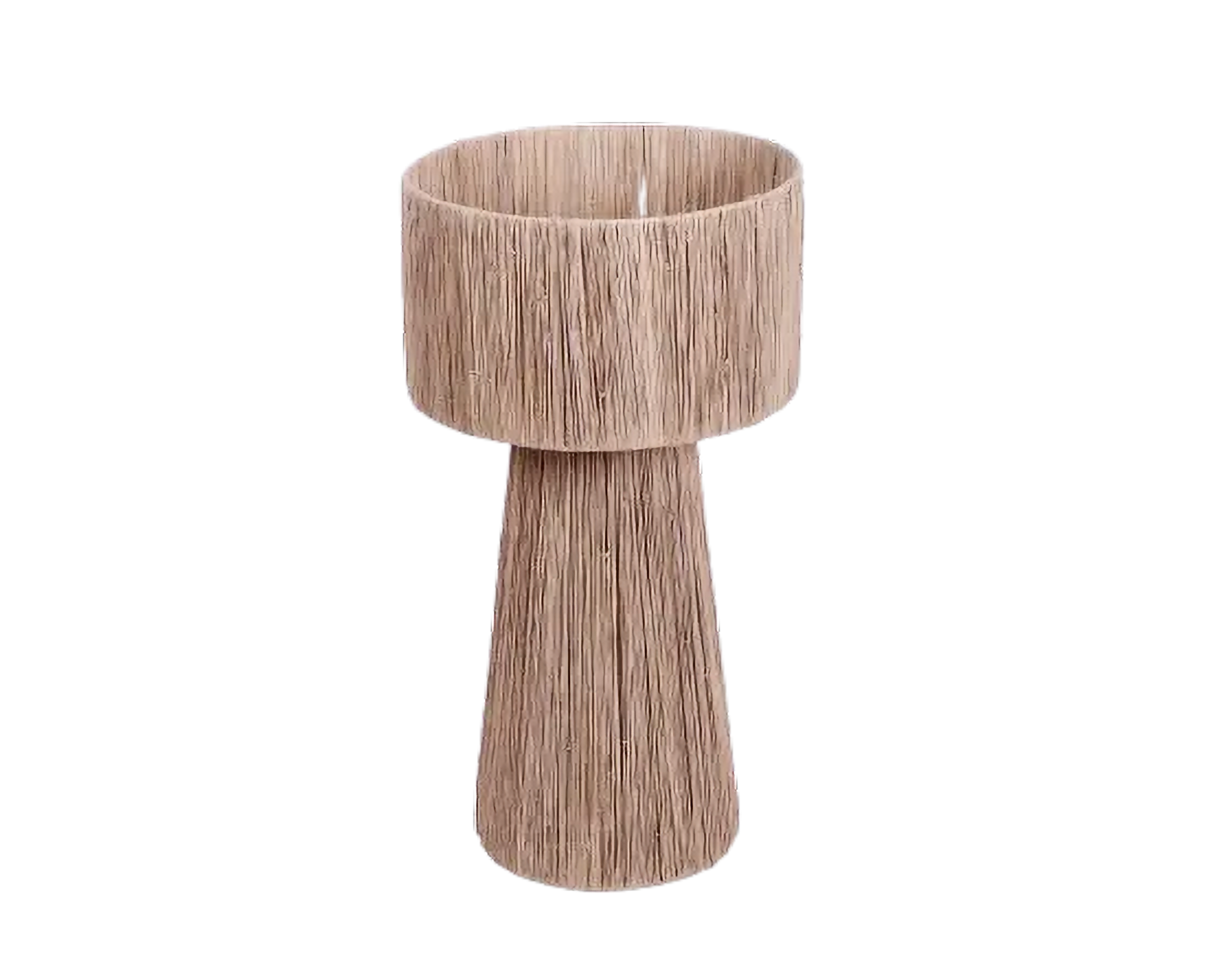 Eco-friendly Lamp - Sisal Plant