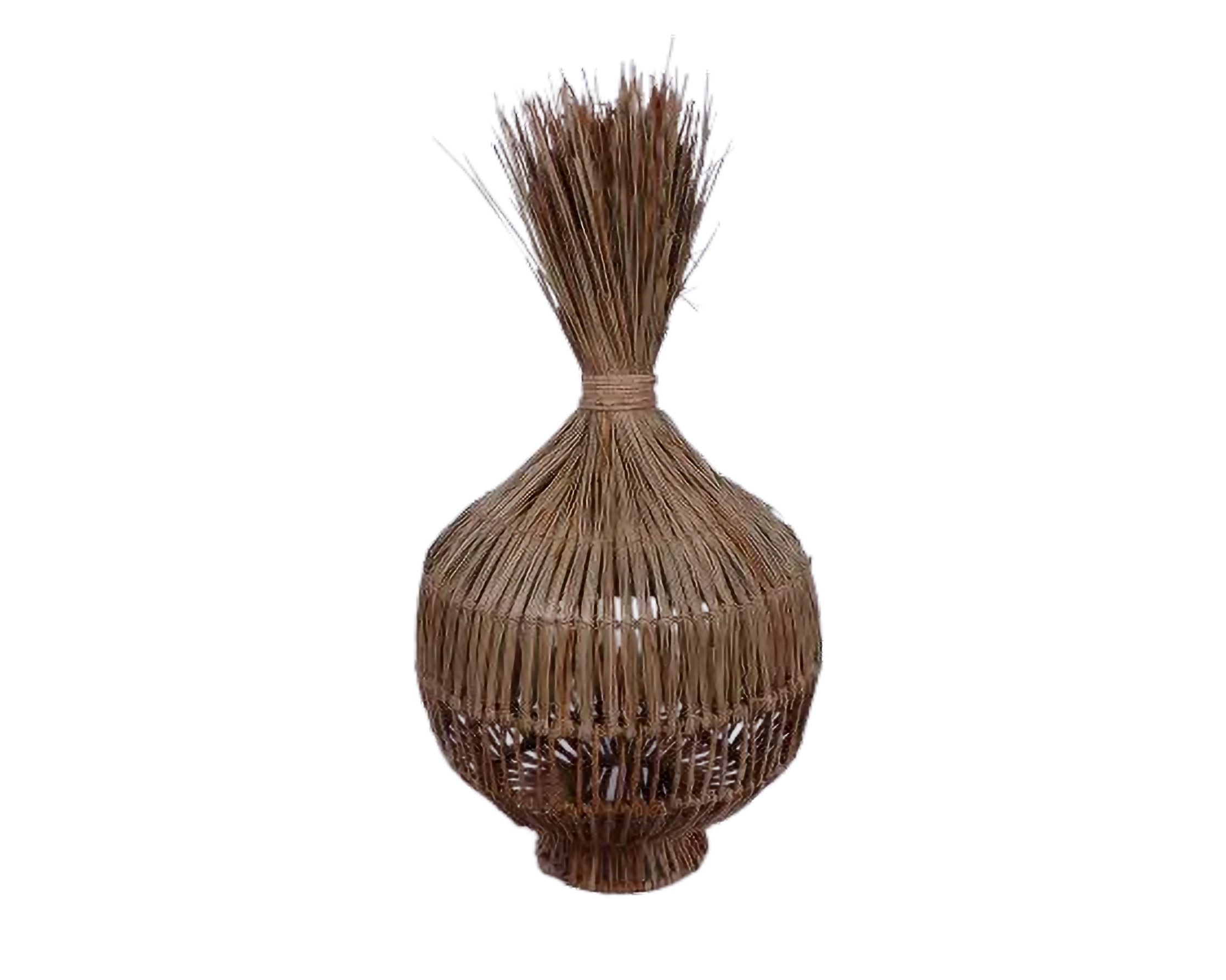 Eco-friendly Lamp -Water Reed