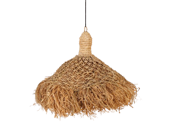 Eco-friendly Lamp - Sisal Plant