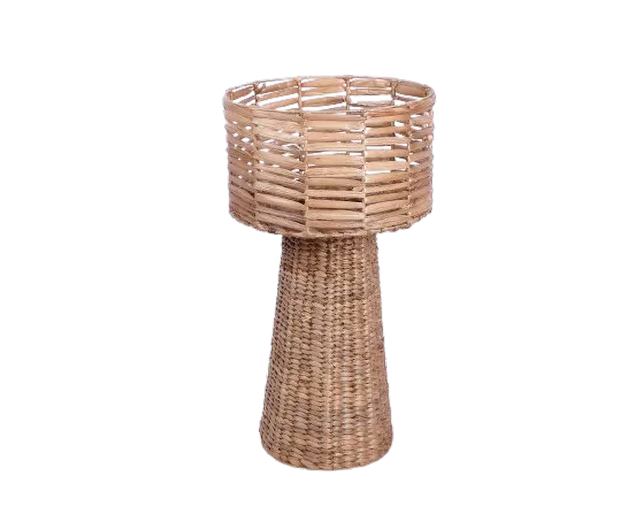 Eco-friendly Lamp - Water Hyacinth