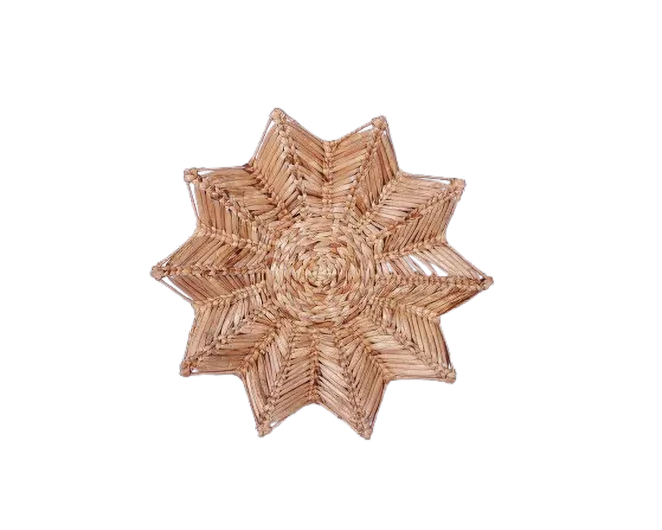 Eco-friendly Wall Decor - Water Hyacinth