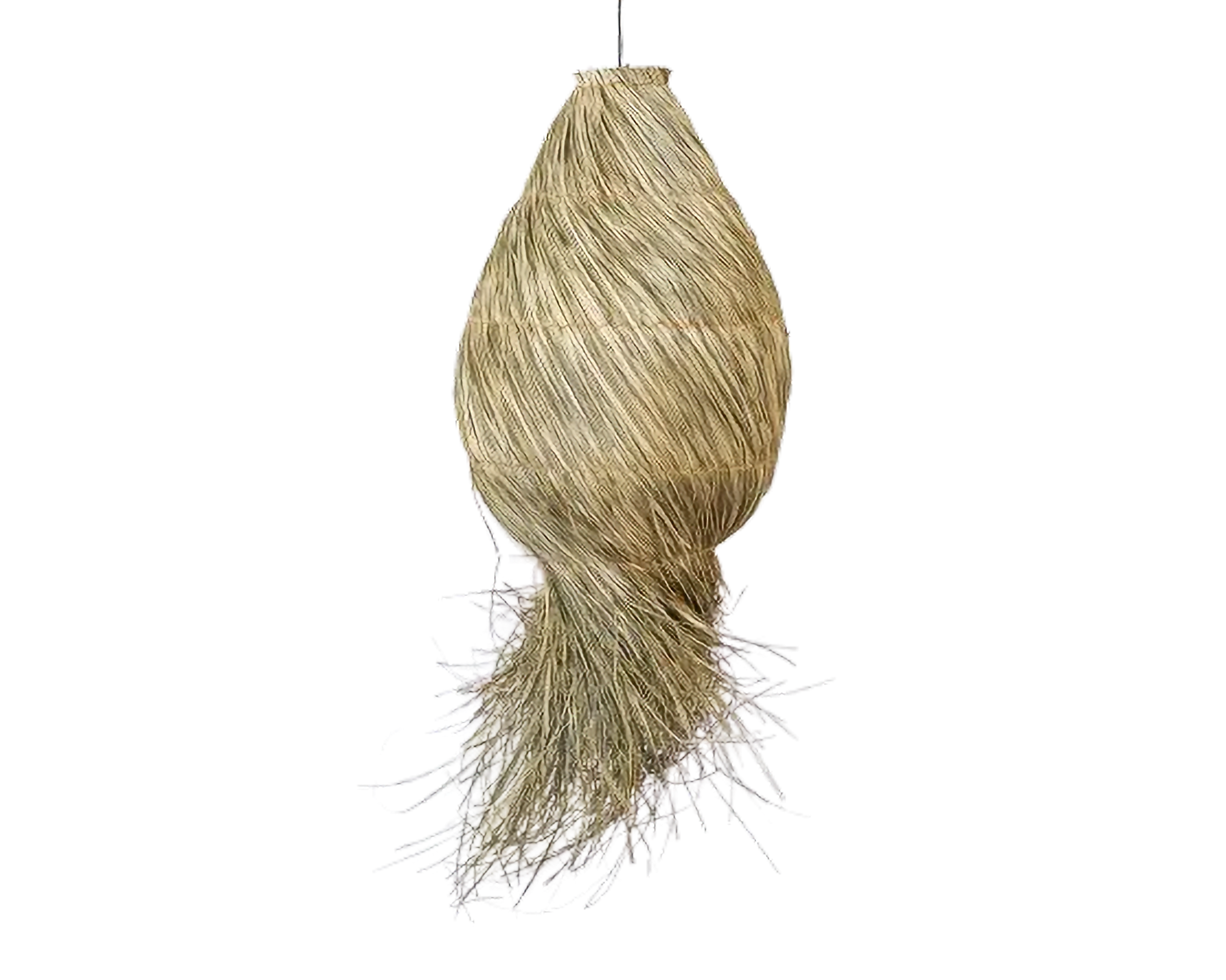 Eco-friendly Lamp -Water Reed