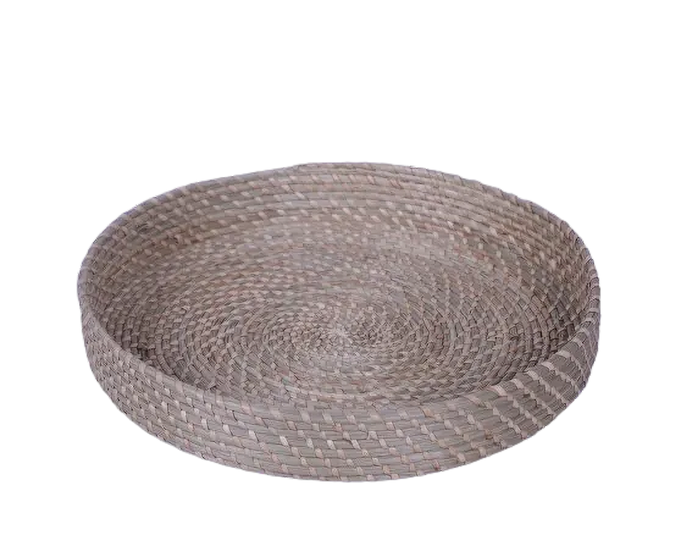 Eco-friendly Tray - Water Reed