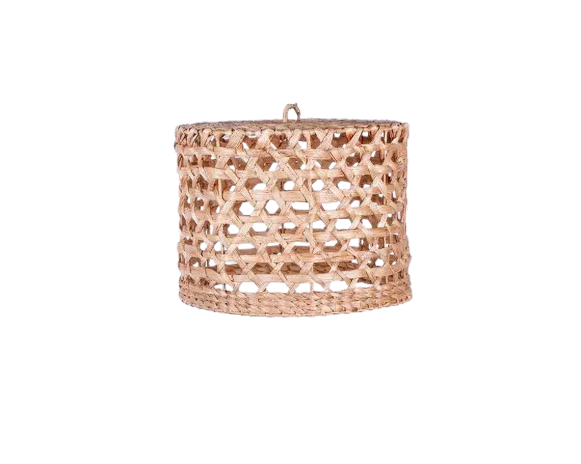 Eco-friendly Lamp - Water Hyacinth