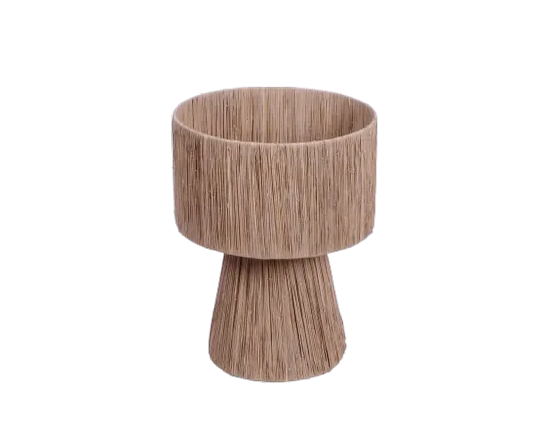 Eco-friendly Lamp - Sisal Plant