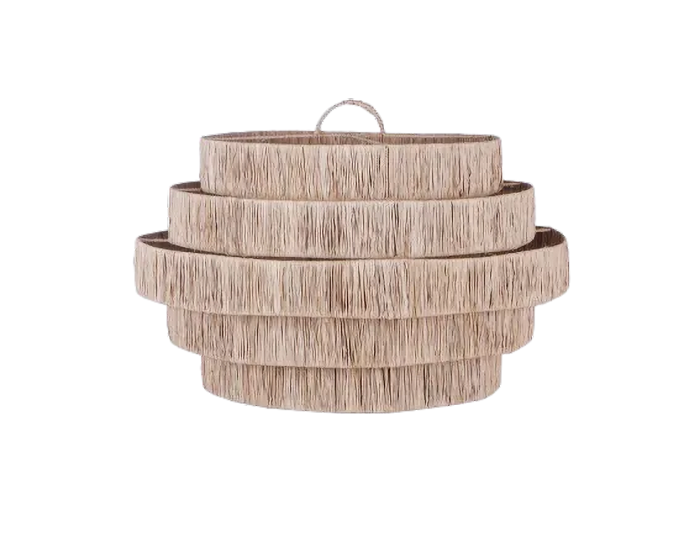 Eco-friendly Lamp - Sisal Plant